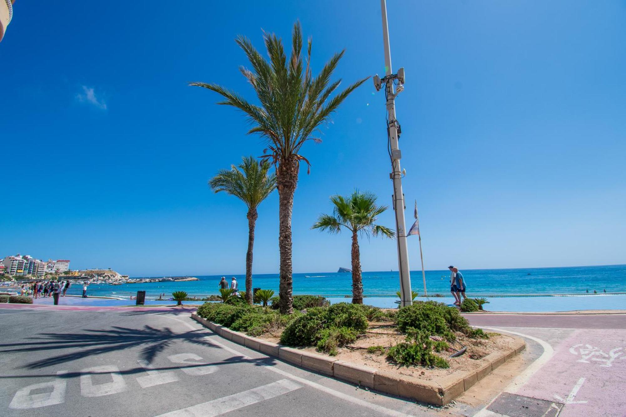 Apartment Centro Sol Y Playa Benidorm *